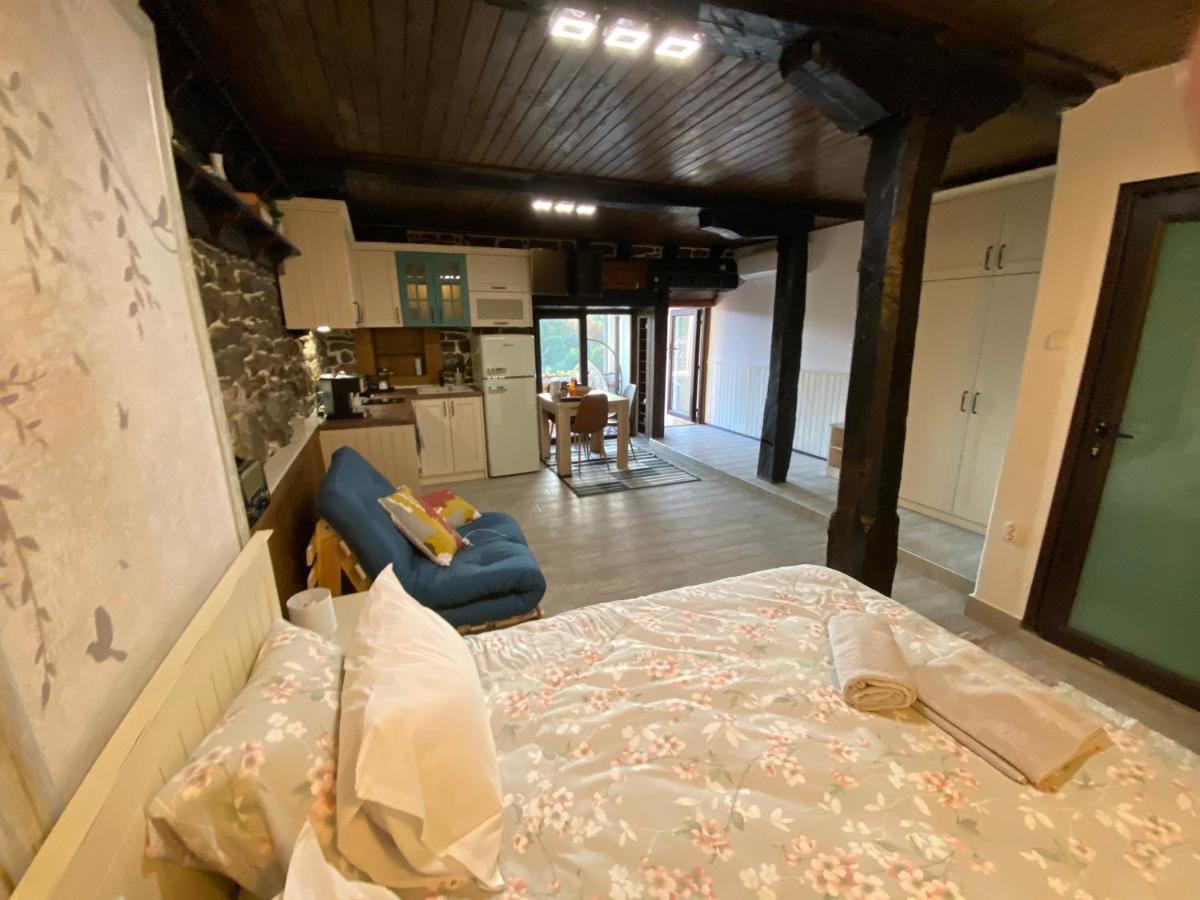 Studio Spring Villa เวลีคอเทอร์โนโว ภายนอก รูปภาพ